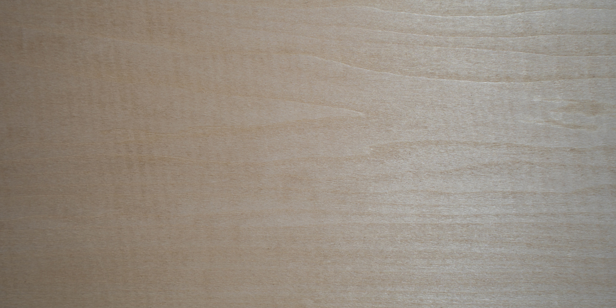 Basswood Close Up