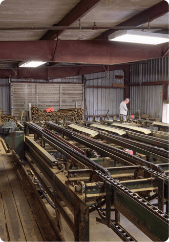 Exporting Logs to Japan (MAFF)