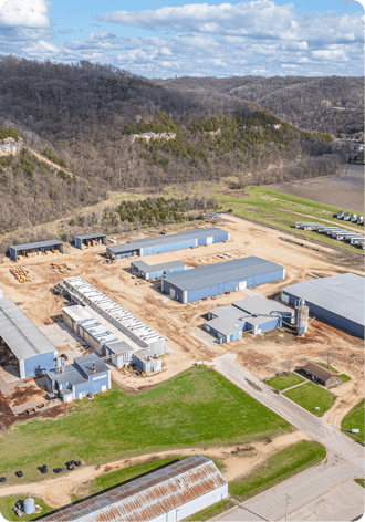 Forest-Direct American Hardwoods