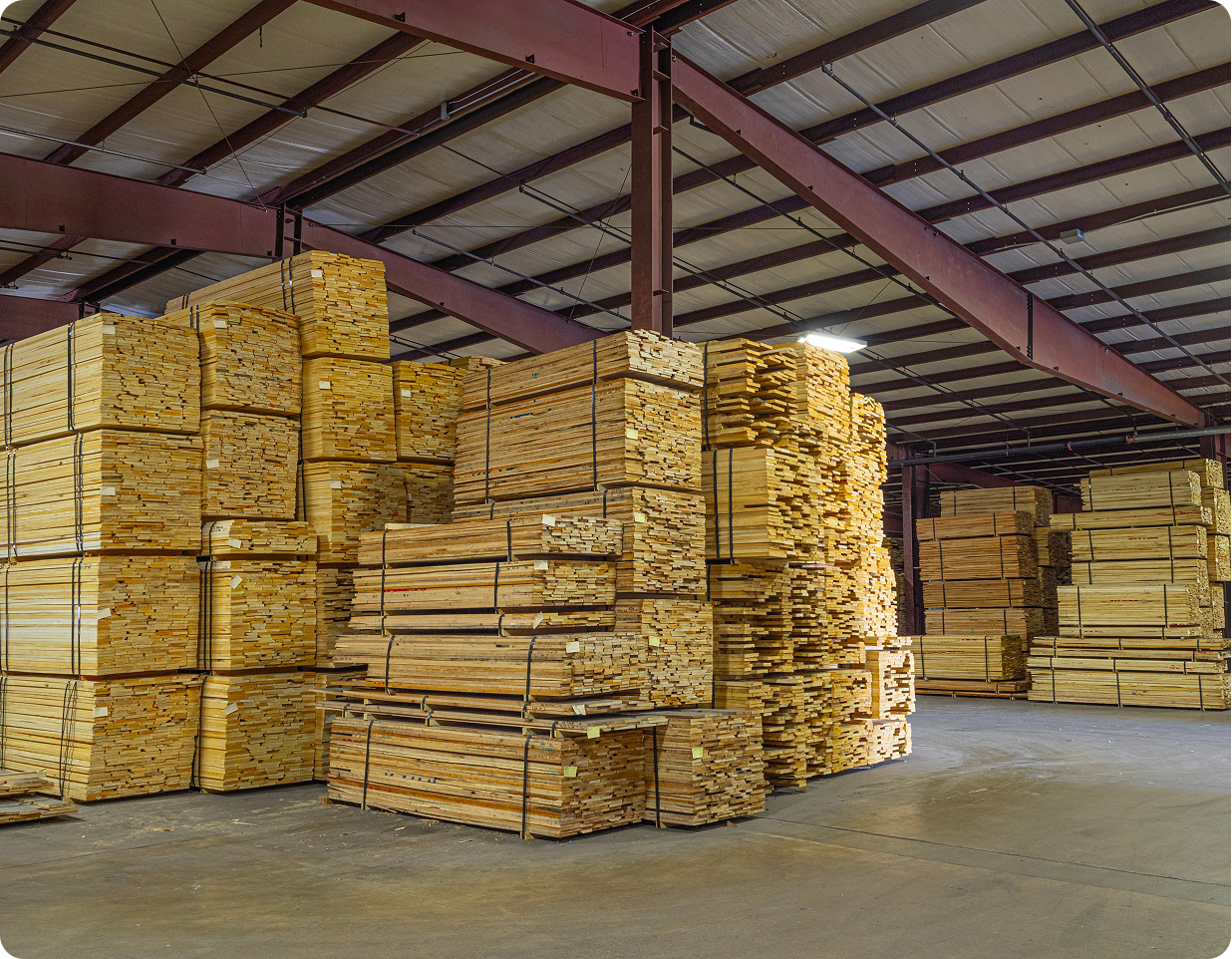 Rectangle 2416-Nov-18-2025-11-24-30-8592-AM