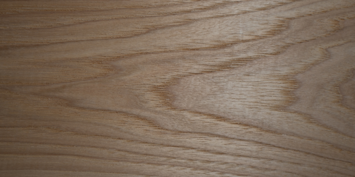 Hickory Close Up